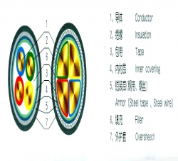 电缆结构图