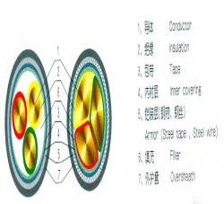 电缆结构图